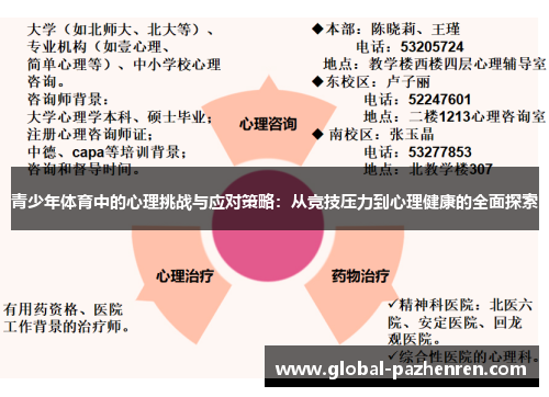 青少年体育中的心理挑战与应对策略：从竞技压力到心理健康的全面探索