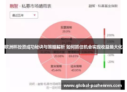 欧洲杯投资成功秘诀与策略解析 如何抓住机会实现收益最大化