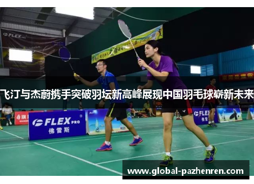 飞汀与杰蔚携手突破羽坛新高峰展现中国羽毛球崭新未来