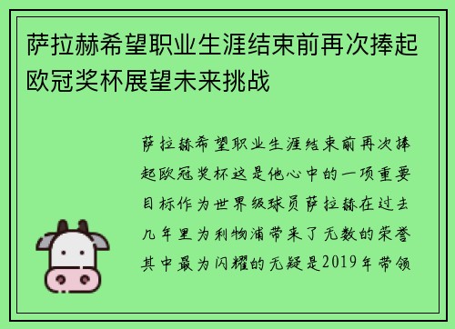萨拉赫希望职业生涯结束前再次捧起欧冠奖杯展望未来挑战 萨拉赫希望职业生涯结束前再次捧起欧冠奖杯展望未来挑战